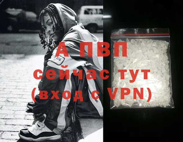 ГАЛЛЮЦИНОГЕННЫЕ ГРИБЫ Новозыбков