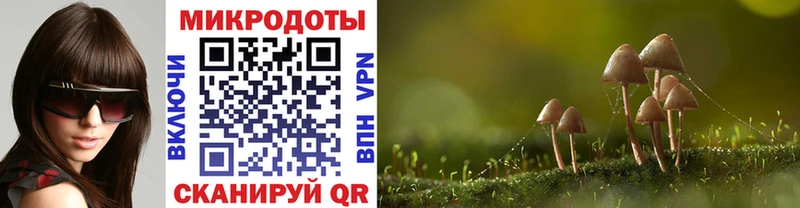 мега как зайти  shop телеграм  Омск  Псилоцибиновые грибы Psilocybine cubensis  как найти наркотики 