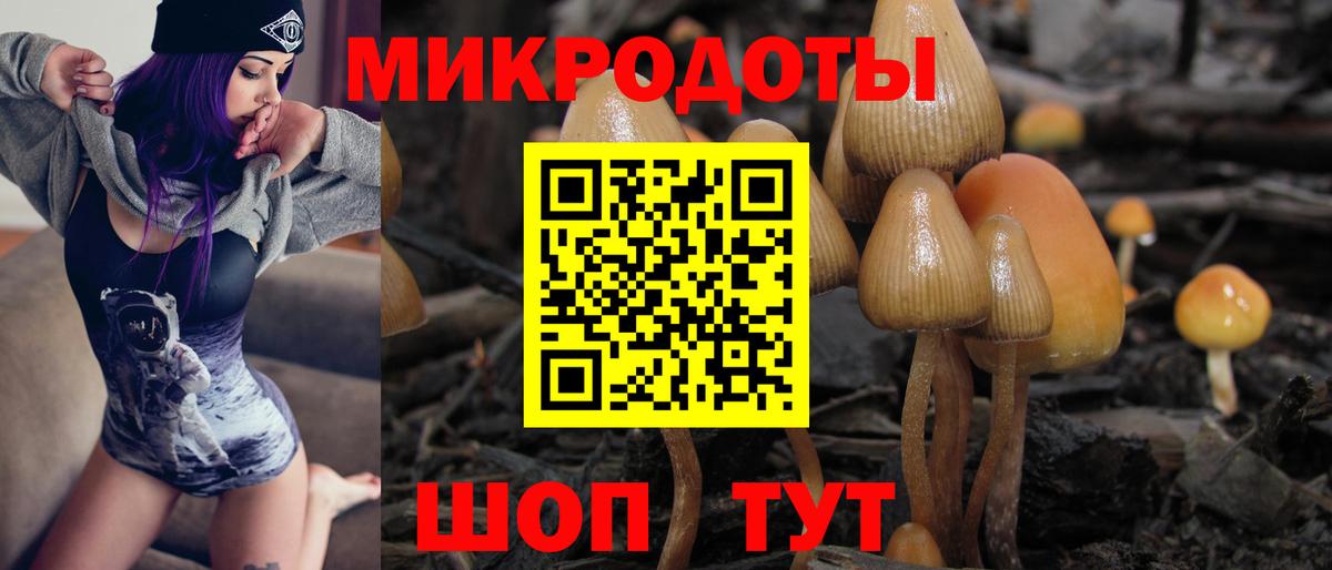 цены   Галлюциногенные грибы Cubensis  Вход с VPN  Омск 